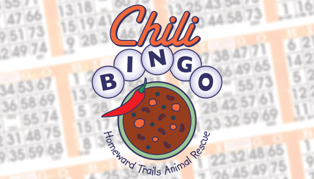 chilibingo