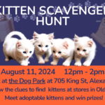 KSH_Facebook_August (1)